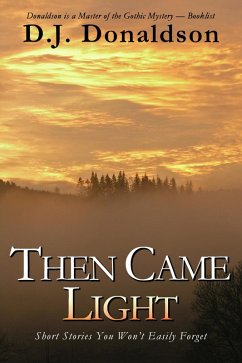 Then Came Light (eBook, ePUB) - Donaldson, D. J.