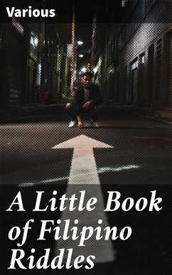 A Little Book of Filipino Riddles (eBook, ePUB) - Various