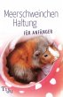 Meerschweinchen Haltung für Anfänger... - Bild 1