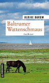 Baltrumer Wattenschmaus (eBook, PDF)