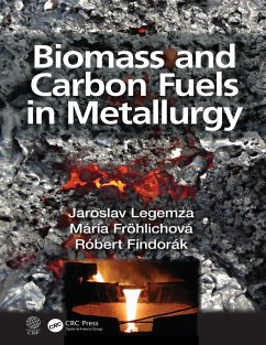 Biomass and Carbon Fuels in Metallurgy (eBook, PDF) - Legemza, Jaroslav; Fröhlichová, Mária; Findorák, Róbert