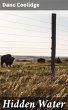 Hidden Water (eBook, ePUB) - Bild 1