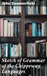 Sketch of Grammar of the Chippeway... - Bild 1