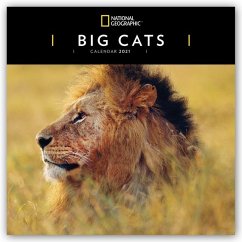 Cover Big Cats - Raubkatzen - Löwen - Tiger - Geparden - Leoparden 2021
