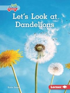 Let's Look at Dandelions - Peters, Katie