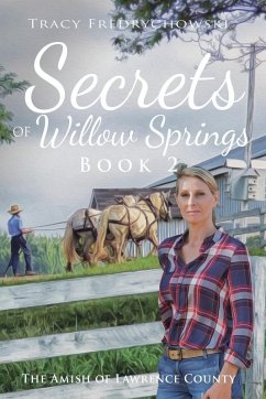 Secrets of Willow Springs - Book 2 - Fredrychowski, Tracy