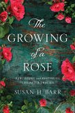 The Growing of A Rose
