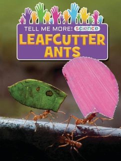 Leafcutter Ants - Owen, Ruth