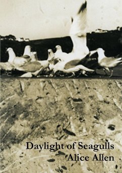 Daylight of Seagulls - Allen, Alice