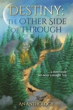 Destiny: The Other Side of Through - Padilla, Danette; Haynes, Derrick; Haupt, Destiny