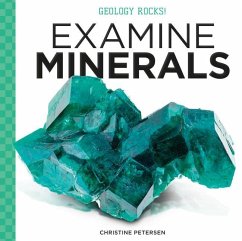 Examine Minerals - Petersen, Christine