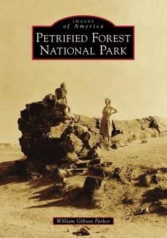 Petrified Forest National Park - Parker, William Gibson