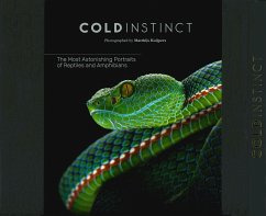 Matthijs Kuijpers: Cold Instinct - Kuijpers, Matthijs