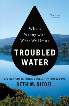 Troubled Water - Siegel, Seth M.