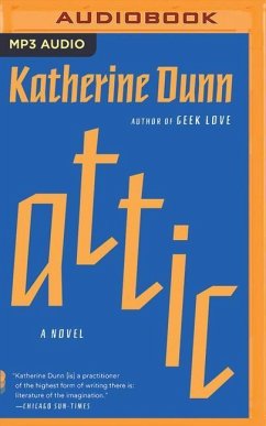 Attic - Dunn, Katherine
