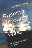 Pushing Through The Wind: Incarcerated, But Not Forgotten