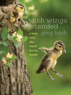 With Wings Extended: A Leap Into the Wood Duck's World - Hoch, Greg