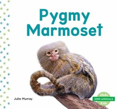 Pygmy Marmoset - Murray, Julie