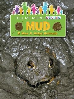 Mud - Owen, Ruth