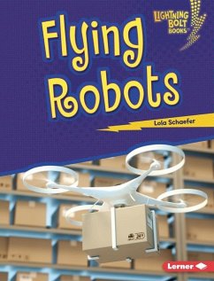 Flying Robots - Schaefer, Lola