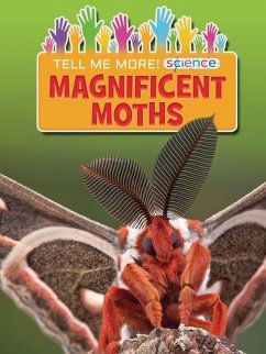 Magnificent Moths - Owen, Ruth