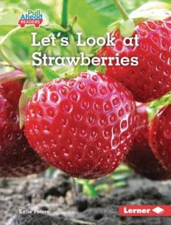 Let's Look at Strawberries - Peters, Katie