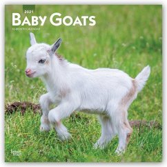 Baby Goats - Ziegenbabys 2021 - 16-Monatskalender - Baby Goats 2021