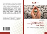 Hydrogène énergie : stockage de l'hydrogène à l'état couplé