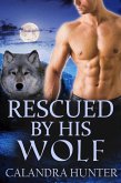 Rescued by His Wolf (eBook, ePUB)