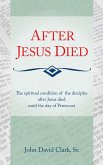 After Jesus Died (eBook, ePUB)