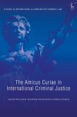 The Amicus Curiae in International Criminal Justice (eBook, PDF)