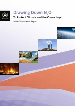 Cover Drawing Down N2O to Protect Climate and the Ozone Layer (eBook, PDF)