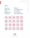 Energy Balances and Electricity Profiles 2002/Bilans Energétiques et Profils du Secteur de l'Electricité 2002 (eBook, PDF)