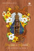 Peregrinas de Aparecida (eBook, ePUB) Peregrinas de Aparecida (eBook, ePUB)