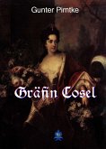 Gräfin Cosel (eBook, ePUB)