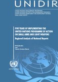 Five Years of Implementing the United Nations Programme of Action on Small Arms and Light Weapons (eBook, PDF)