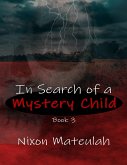 In Search of a Mystery Child Book 3 (eBook, ePUB)