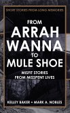 From Arrah Wanna to Muleshoe: Misfit Stories from Misspent Lives (eBook, ePUB)