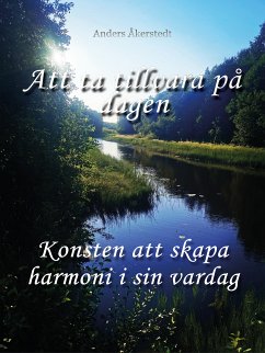 Att ta tillvara på dagen (eBook, ePUB) - Åkerstedt, Anders