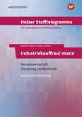 Industriekauffrau/-mann - Betriebswirtschaft und Steuerung und Kontrolle: Aufgabenband / Holzer Stofftelegramme Baden-Württemberg 3
