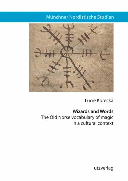 Wizards and Words (eBook, PDF)