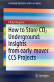 How to Store CO2 Underground: Insights from early-mover CCS Projects (eBook, PDF)
