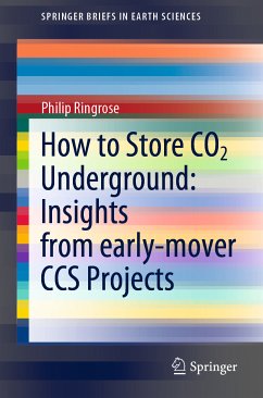 How to Store CO2 Underground: Insights from early-mover CCS Projects (eBook, PDF) - Ringrose, Philip