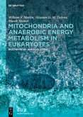 Mitochondria and Anaerobic Energy Metabolism in Eukaryotes