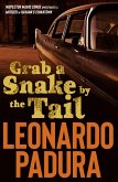 Grab a Snake by the Tail (eBook, ePUB)