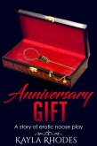 Anniversary Gift: A Story of Erotic Noose Play (eBook, ePUB)