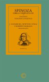 Spinoza - Obra completa III (eBook, ePUB)