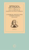 Spinoza - Obra completa IV (eBook, ePUB)