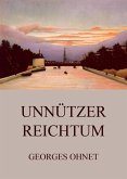 Unnützer Reichtum (eBook, ePUB)