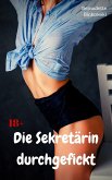 Die Sekretärin durchgefickt (eBook, ePUB)